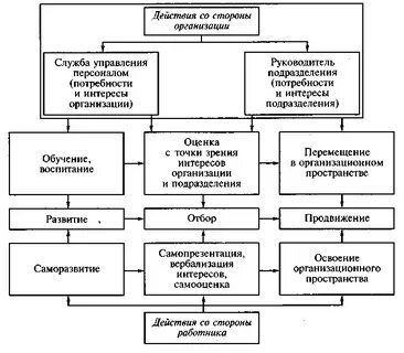Организация процесса управления карьерой