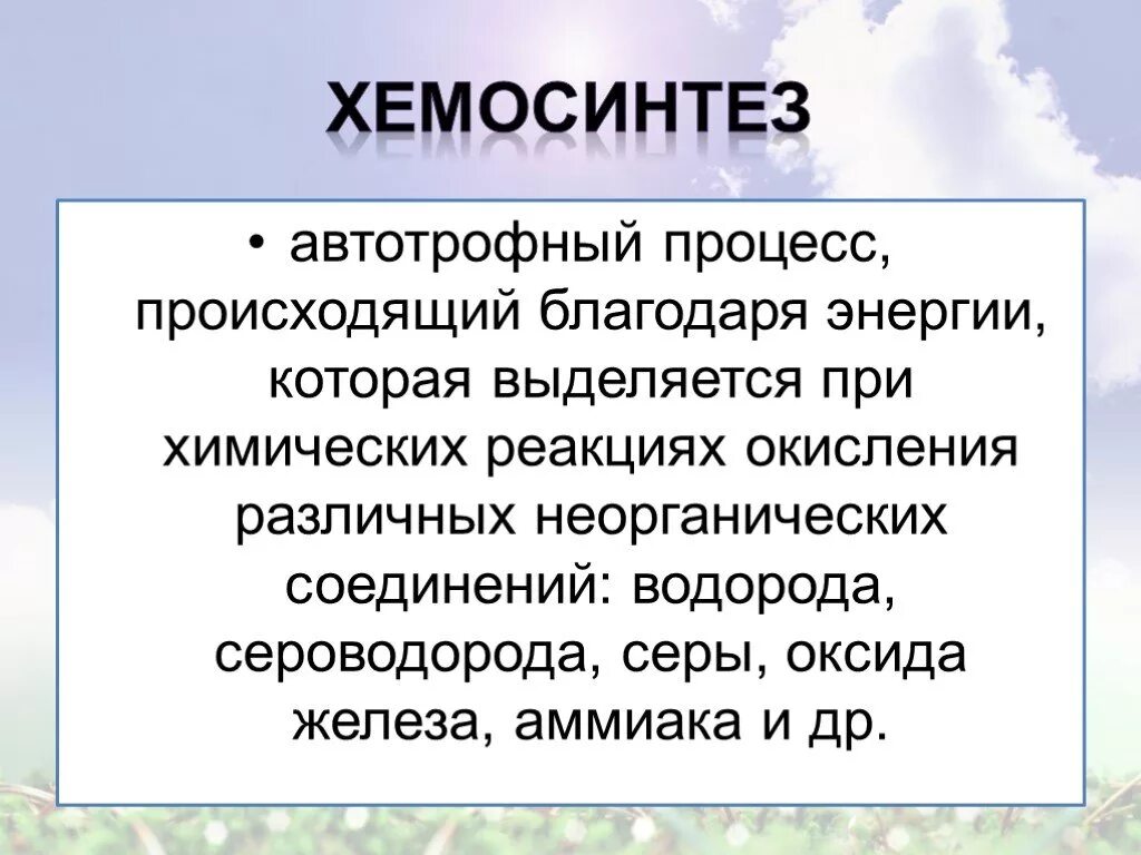 Хемосинтез характерен для. Хемосинтез. Процесс хемосинтеза. Хемосинтез это кратко. Этапы хемосинтеза.