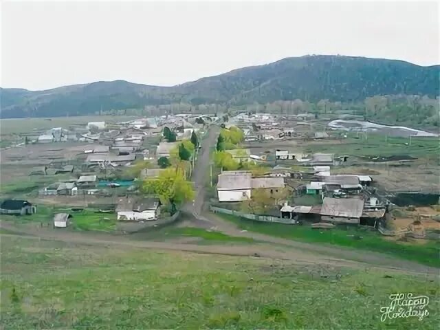 Комиссионка сельхозпродуктов хайбуллинский