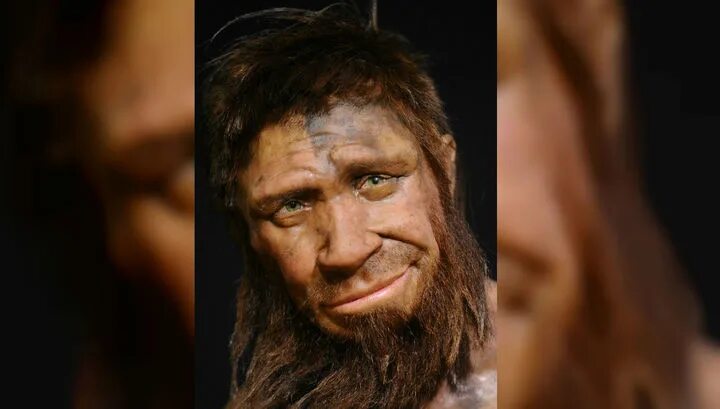 денисовцы и неандертальцы отличия