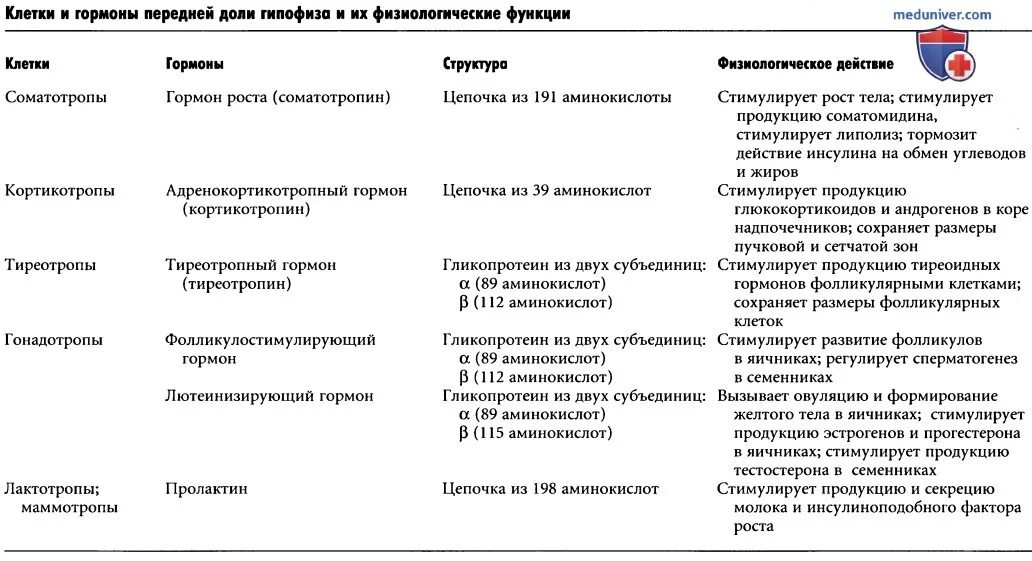 Секретируемые гормоны гипофиза таблица. Гипофиз гормоны и функции таблица. Гормоны долей гипофиза таблица.