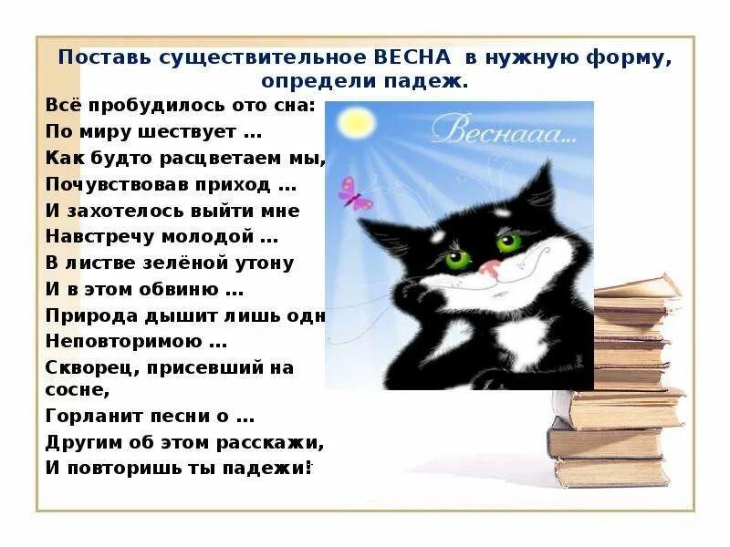 Слово весной это существительное. Мтс расшифровка русский язык 6 класс. Слово весной это существительное. Слово весной это существительное. Весною это существительное.
