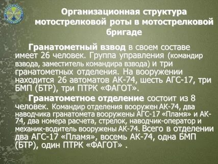 Командир взвода мотострелковой роты