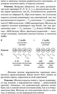 Моногибридное и полигибридное скрещивание