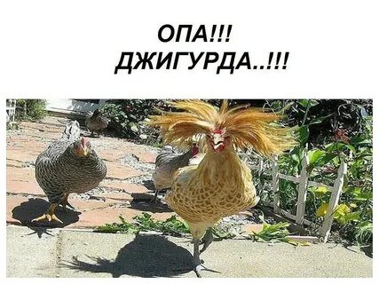 Городская приехала