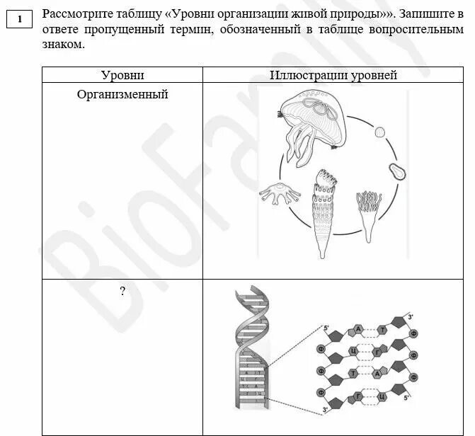 Учебник пример по биологии задание Биология десятый класс учебник