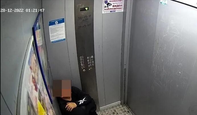 Справляет нужду видео. Справляет нужду видео