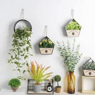 Eco plant