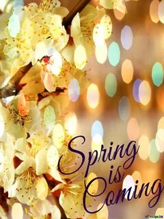 Hello coming