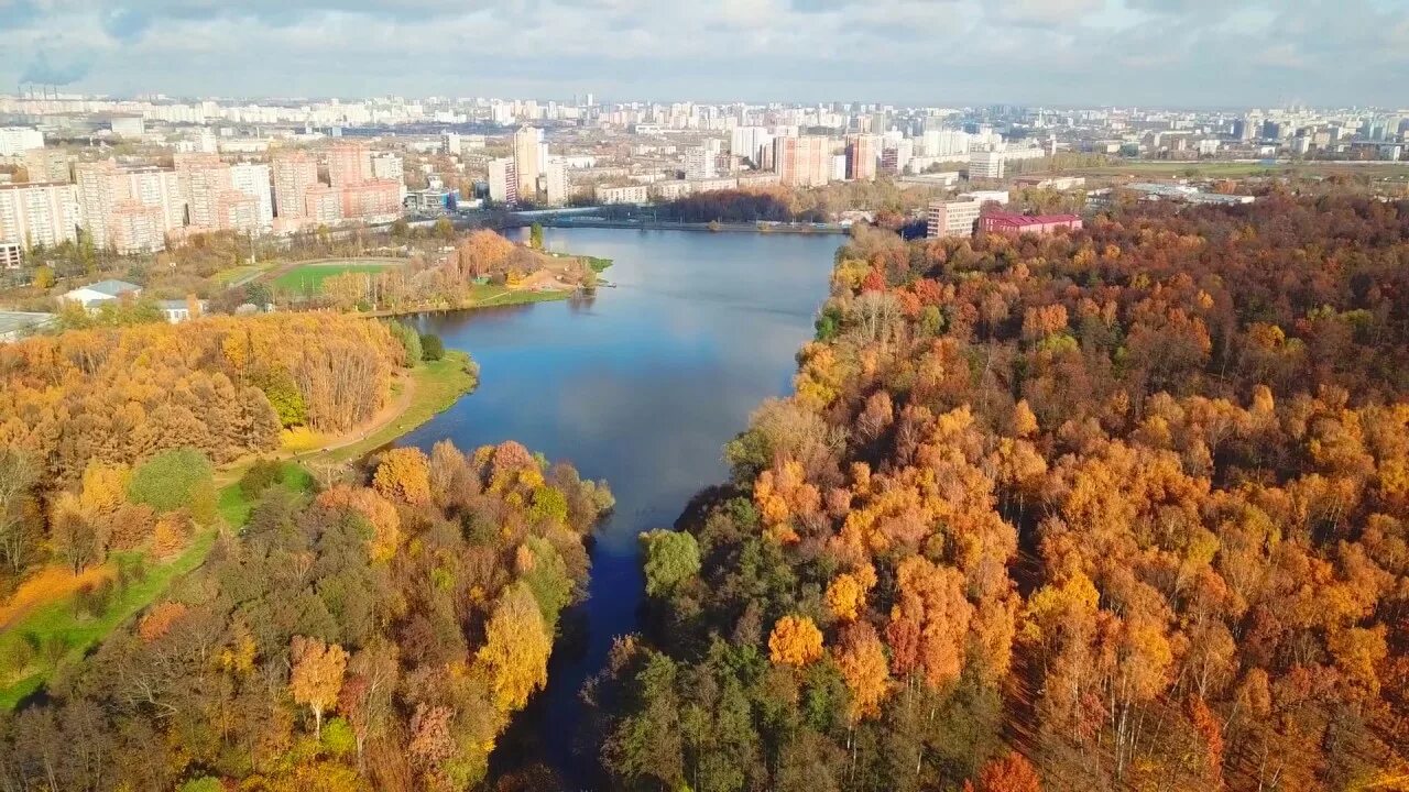 Яхрома тимирязевская. Тимирязевский лес Москва. Тимирязевский парк Москва. Тимирязевский лесопарк. Тимирязевский парк Моска.