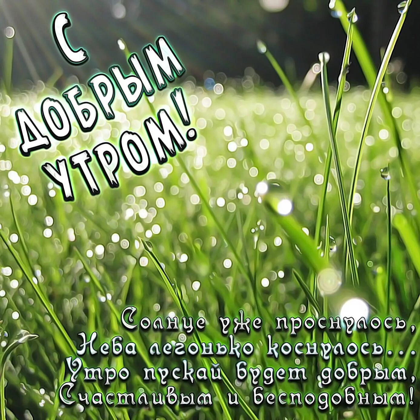 Доброе утро картинки позитивные с природой. Открытки с добрым утром. Открытки с добрым утром летние. Пожелания с добрым летним утром. Необычные поздравления с добрым утром.