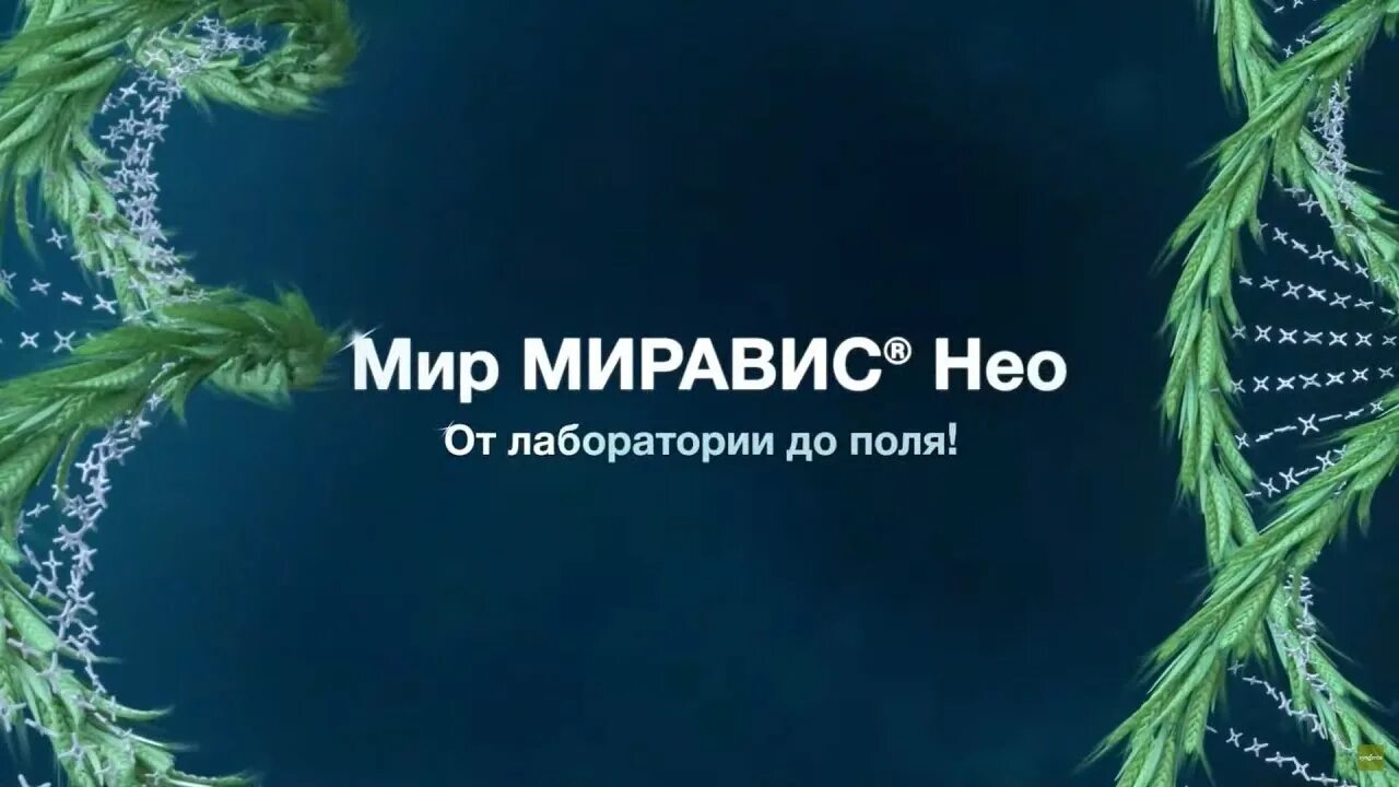 Https opti 24. Миравис Эйс. Миравис Нео. Миравис Сингента. Миравис фунгицид.