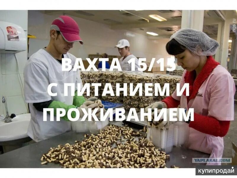 Работа вахтой семейным парам с питанием. Фасовщики вахта. упаковщик вахта. упаковщик вахта на рыбу с проживанием и питанием. упаковщик вахта от 15 смен в москве с питанием и проживанием.