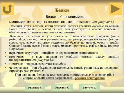 Мономерами белков являются