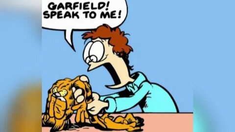 Deflated Garfield Know Your Meme.