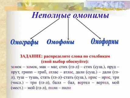 Распределите омонимы по группам