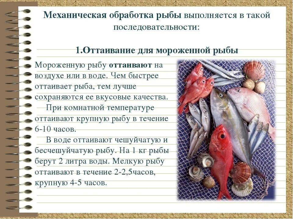 Рыбы условия жизни. Механическая обработка рыбы. Механическая куленория обработка рыбы. Способы размораживания рыбы. Способ оттаивания мороженной рыбы.
