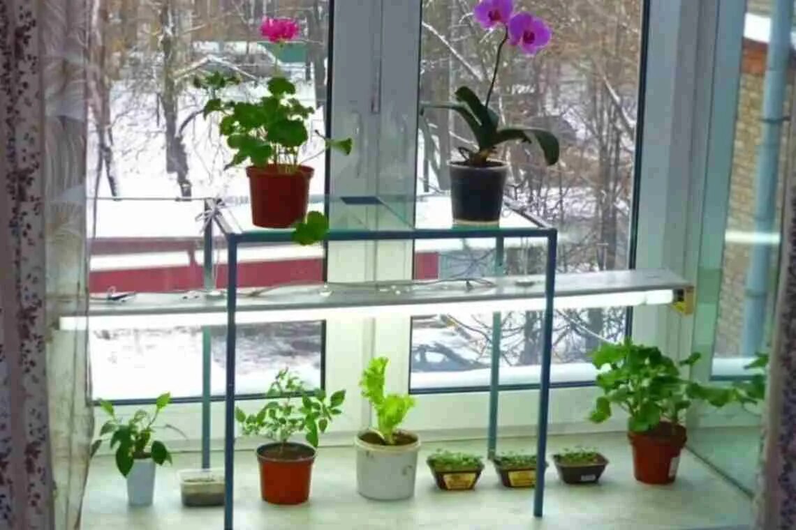 Можно ставить рассаду на солнце подоконнике. Подсветка для рассады. подсветка для рассады на подоконнике. светильник для цветов на подоконник. лампа для рассады на подоконнике.