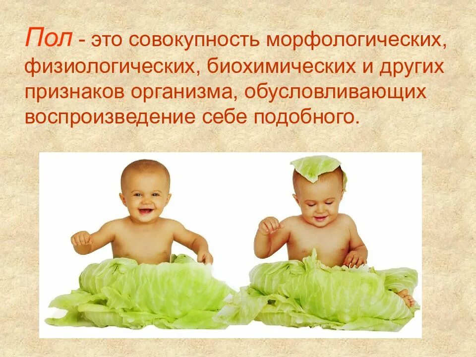 Совокупность морфологических и физиологических. Совокупность морфологических и физиологических признаков организма. совокупность морфологических и физиологических признаков. физиологический пол это.