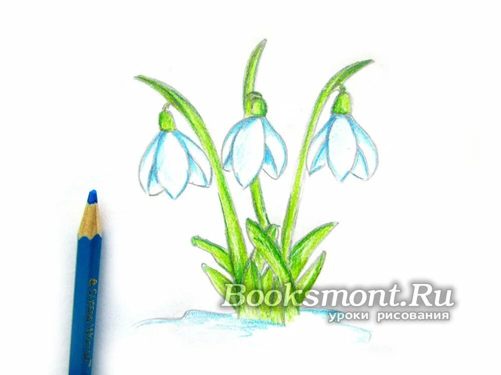 Подснежник рисунок 5 класс. Подснежник рисунок. рисование подснежники. подснежники рисунок легкий. рисование подснежников карандашами.