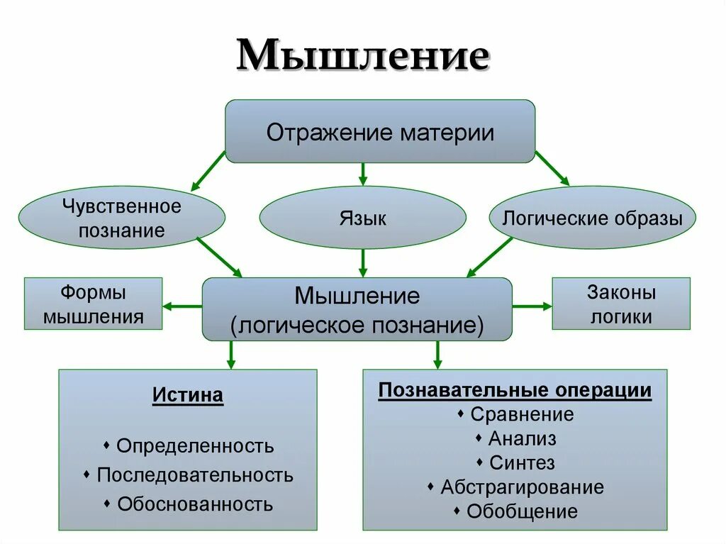 Наука о чувственном познании. Мышление и чувственное познание.. Логические этапы познания. Формы и методы мышления. Методы мышления и познания.