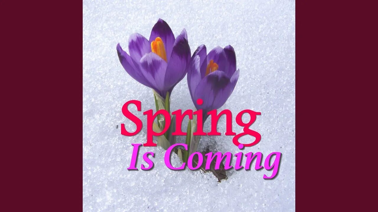 Spring is coming. Spring Spring is coming. Spring will come.