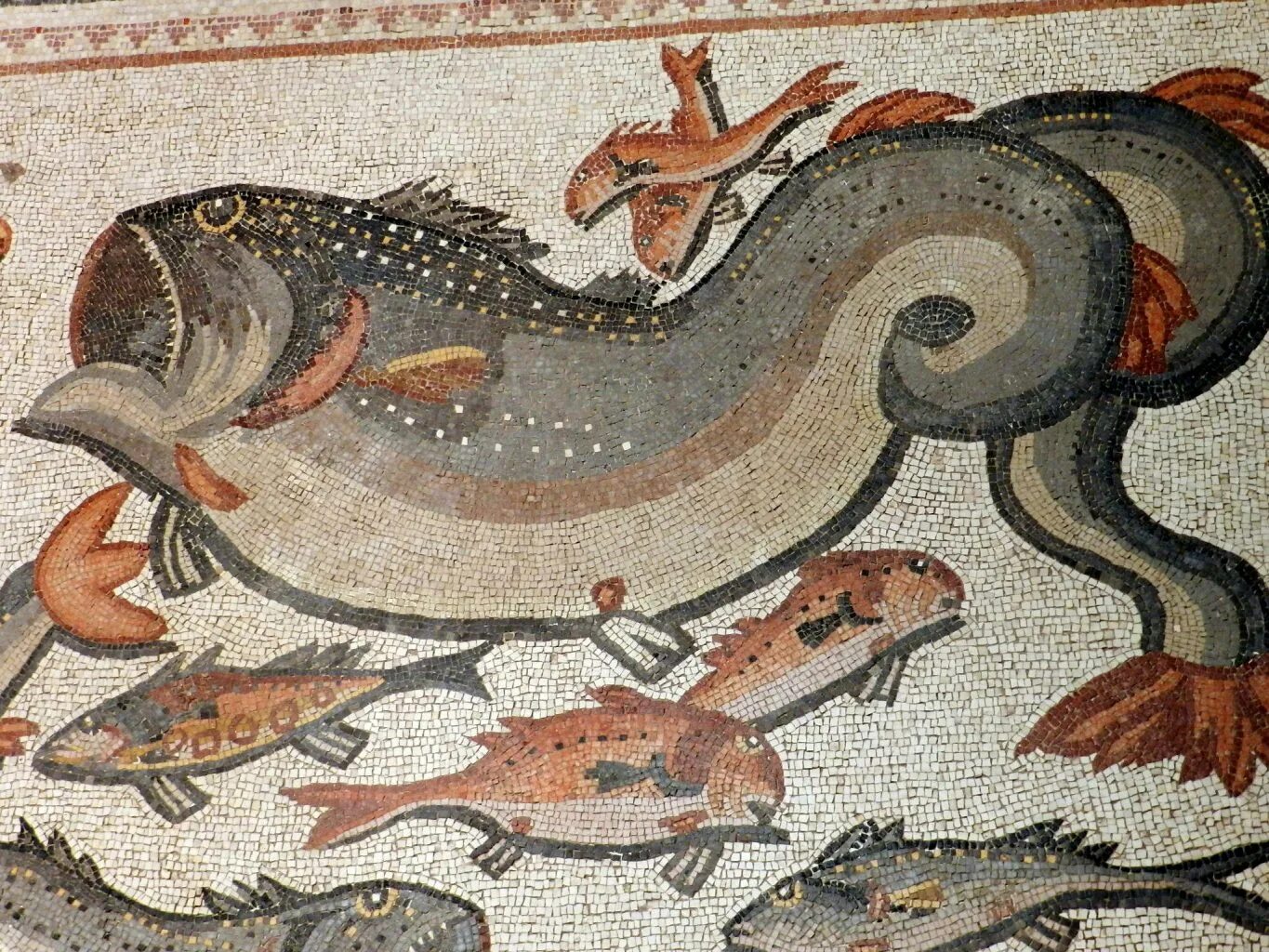 Древнейшие рыбы. Древняя рыба латимерия. Ancient fish. Ancient fish. Entelognathus primordialis.