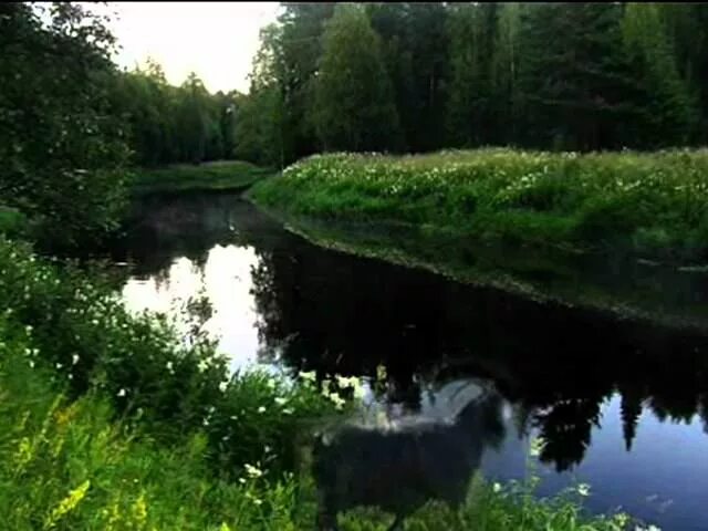 Ведьмина река чародеи. Ведьмина река. ведьма речка фото. ведьмина река фото. ведьма речка караоке.