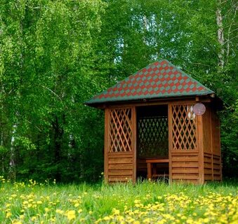 Дендропарк беседки
