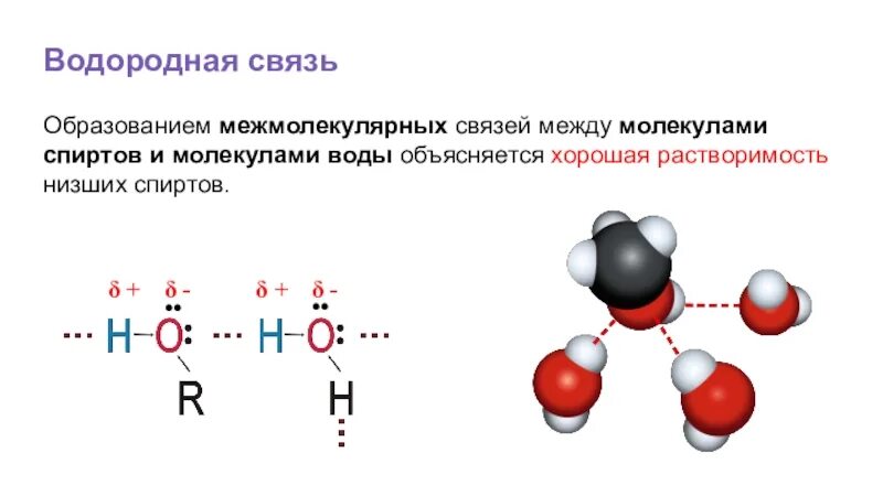 Водородная связь между молекулами спиртов. Водородная связь схема образования связи межмолекулярные. Образование водородных связей между молекулой спирта и воды. Водородная связь между молекулами воды схема. Между молекулами воды существуют связи