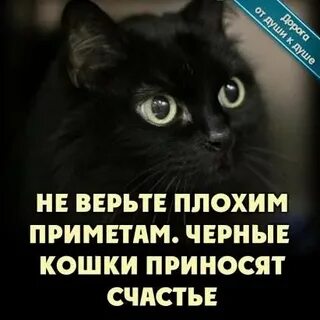 Больше не верит в приметы