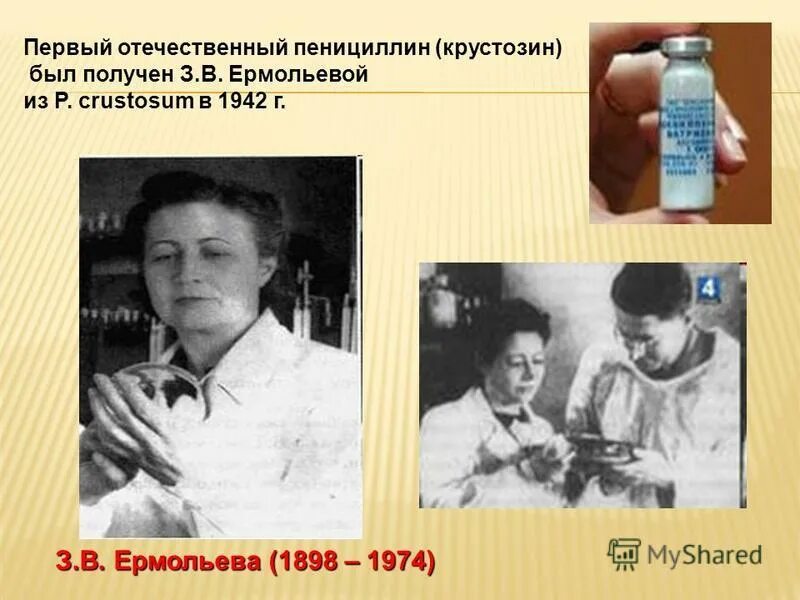 Крустозин Ермольева. 1942 Пенициллин - крустозин. День пенициллина