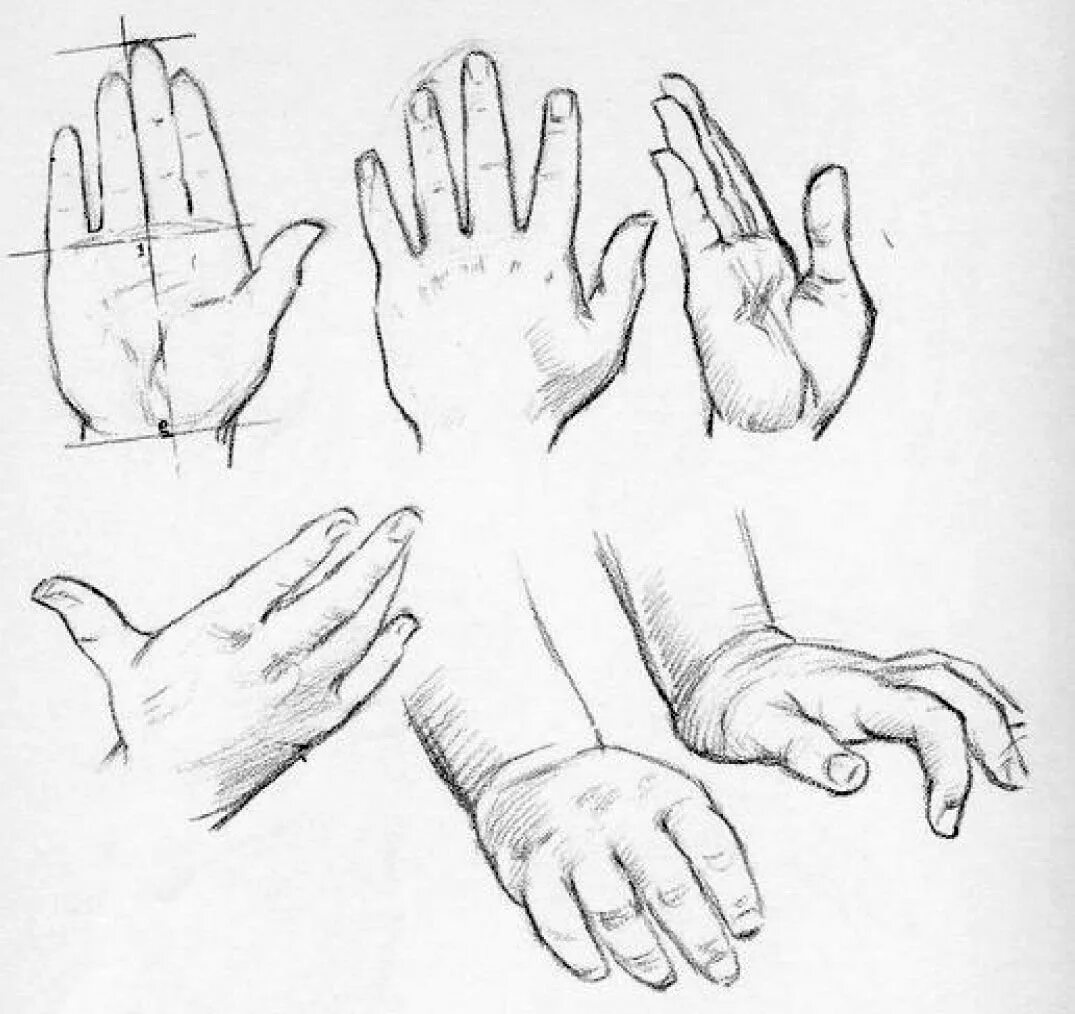 Кисть руки. Ребенок на руках. Детская рука. Детская кисть руки. Детские руки.