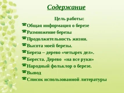 Сколько плодоносит береза