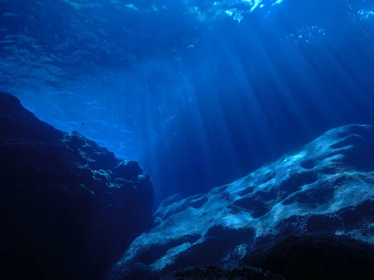 Толща воды в океане. Океаны. Глубина. Дно океана. Глубокий океан. Под водой.