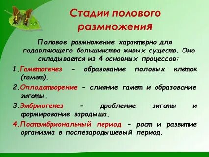 Характерная особенность полового размножения