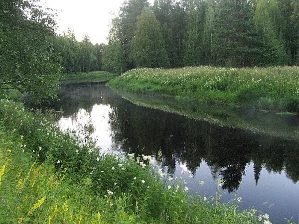 Река толкование. Во сне видеть реку. Река толкование. Река дитва. Спящая река.