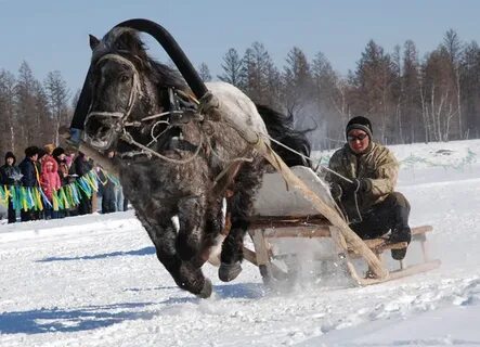 Есед саха гов