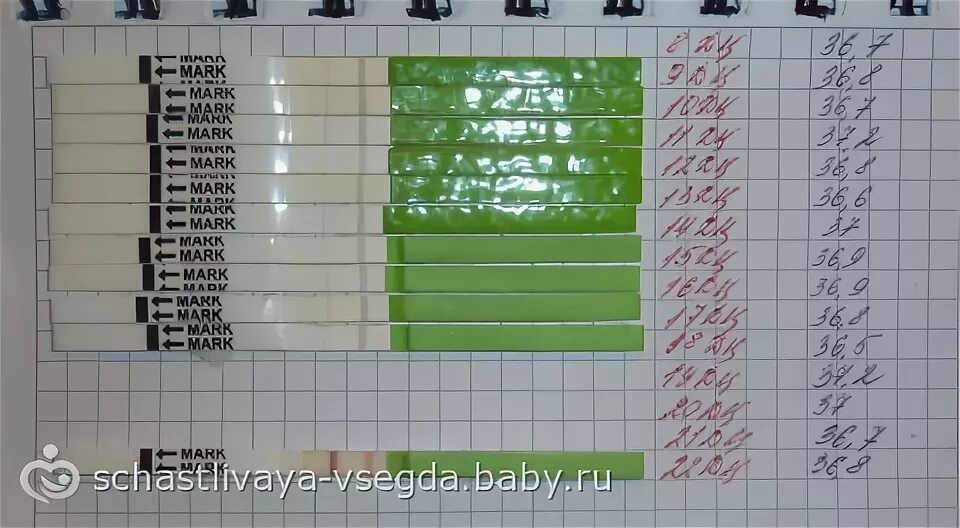 Тест на беременность после зачатия. Тесты на беременность по дням. После па через. Тесты на беременность по дням. После па через.