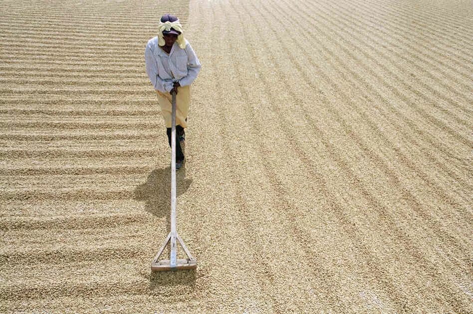 Химическая промышленность. Сушка кофейных зерен. Холодная штамповка листового металла. Токарь по дереву. Фрезерование поверхности металла.