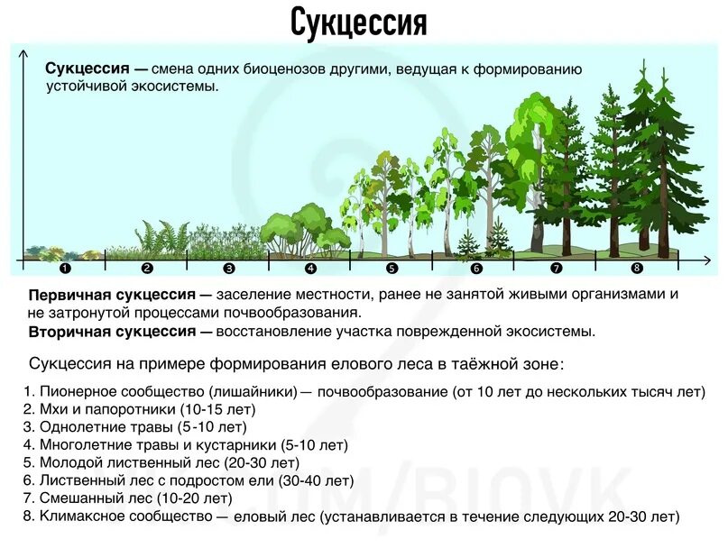 Примерами естественной смены экосистем являются. Первичная экологическая сукцессия. Экологическая сукцессия первичная сукцессия вторичная сукцессия. Вторичная сукцессия понятие. Схема вторичной экологической сукцессии.