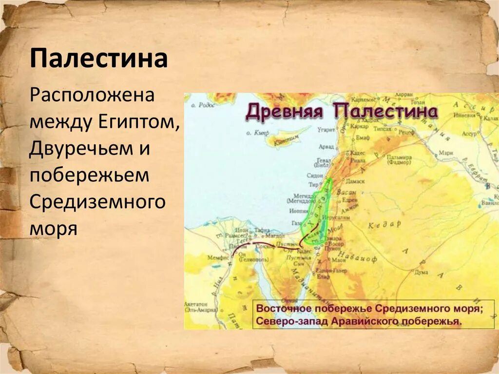 Палестина история карты. Древняя Палестина на карте. Древняя Палестина 5 класс история карта. Древняя Палестина 5 класс история. Финикия и Палестина в древности на карте.