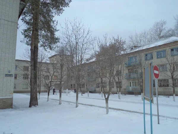 воронежская обл. дом интернат воронеж. грибановский дом интернат для престарелых и инвалидов. дом интернат воронеж. выступление в доме престарелых.