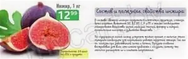 Инжир свойства