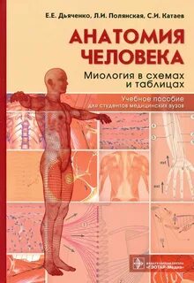 Человек в таблицах и схемах