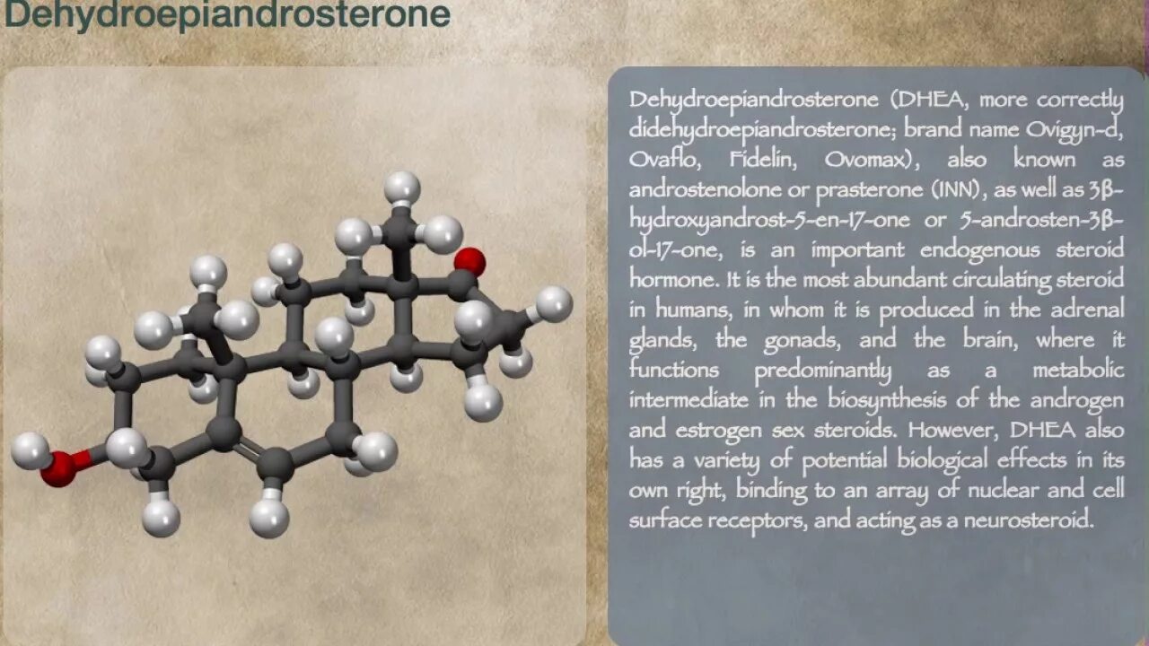 Дга s гормон у женщин. Дегидроэпиандростерон. Дегидроэпиандростерона сульфата. Тестостерон и Дегидроэпиандростерон. Дегидроэпиандростерон функции.