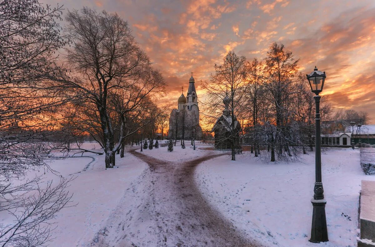 сестрорецкий парк зимой. сестрорецк зимой. дубки сестрорецк зимой. дубки самара парк зимой. сестрорецк берег залива зимой.