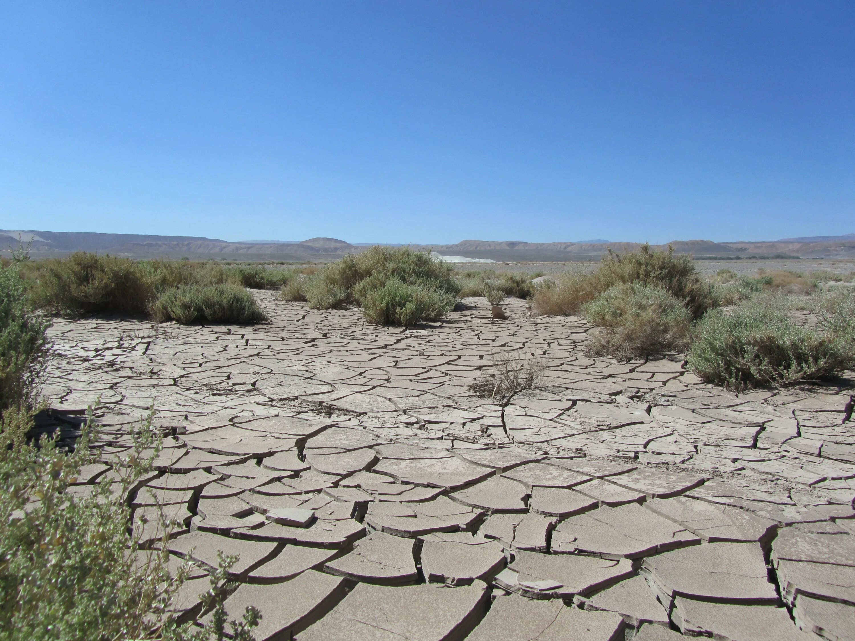 Занимает территории с засушливым климатом. Засуха в пустыне Атакама. Почва в пустыне. Сухая почва. Пустыня трещины.