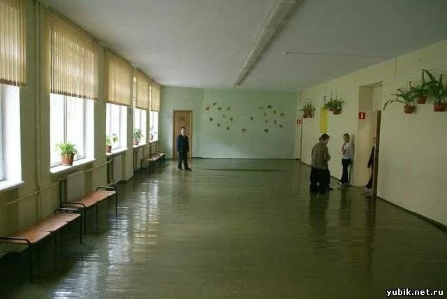 Лицей 4 юбилейный. Лицей 4 королева. Лицей 4 королёв. Лицей 4 королева. 8 школа юбилейный королев.