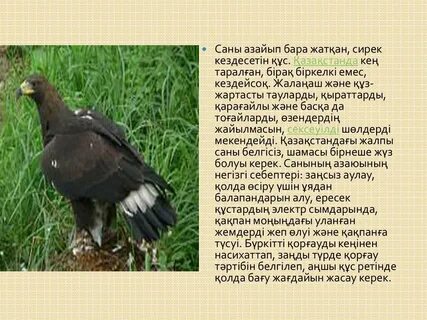 Кривой Рогтағы жалаңаш әйелдер